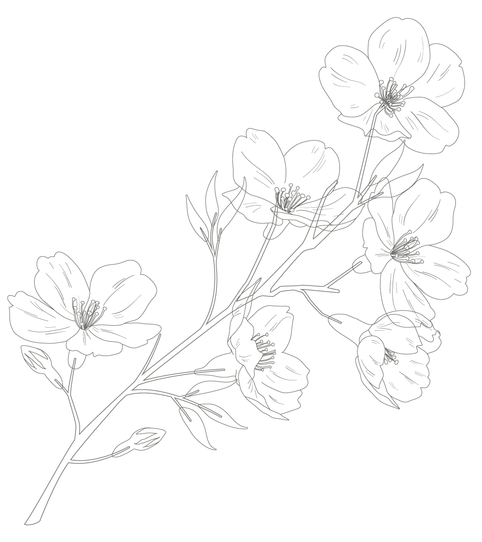 Particle element