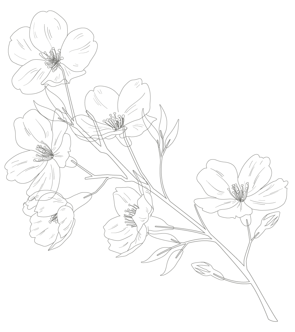 Particle element
